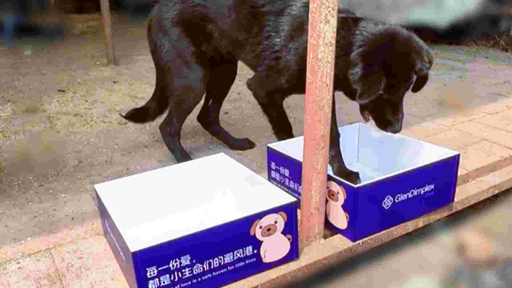 1754365693179567.jpg 微信图片_2025-08-05_091514_631.jpg